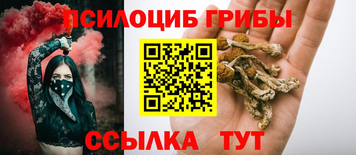 Галлюциногенные грибы Psilocybine cubensis  Вход с VPN  Феодосия 